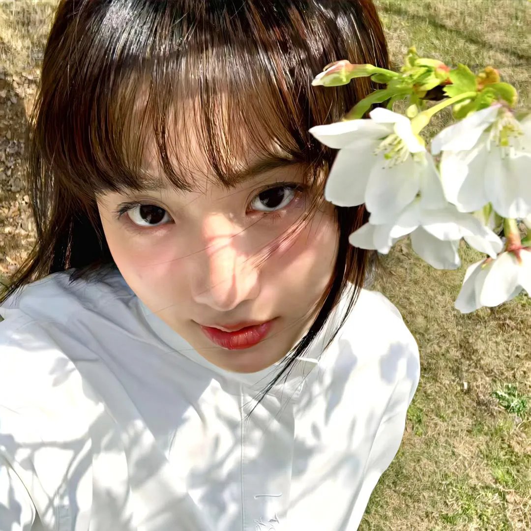 花月良宵